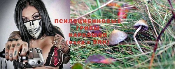 стаф Нефтекумск