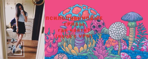 mix Надым