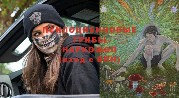 mix Надым