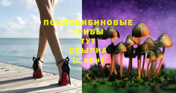 прущий лед Навашино