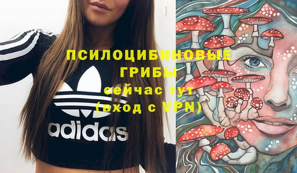 mix Надым