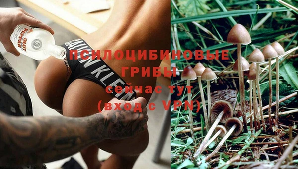 стаф Нефтекумск